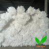 Ống xốp PE Foam Ống xốp PE Foam
