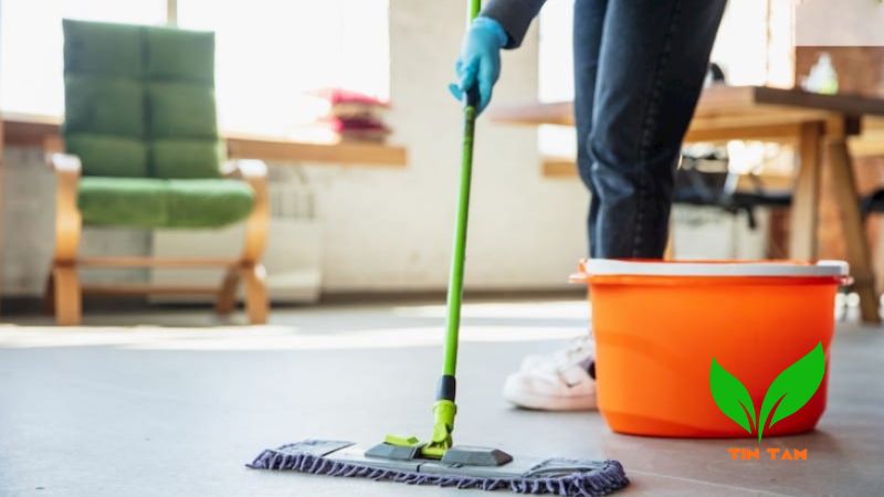 Cách khử mùi ẩm mốc trong phòng kín Cách khử mùi ẩm mốc trong phòng kín