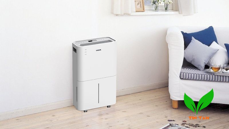 Cách khử mùi ẩm mốc trong phòng kín Cách khử mùi ẩm mốc trong phòng kín
