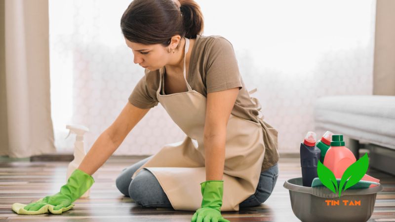 Cách khử mùi ẩm mốc trong phòng kín Cách khử mùi ẩm mốc trong phòng kín