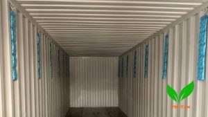 Những yếu tố cân nhắc khi lựa chọn túi hút ẩm Container